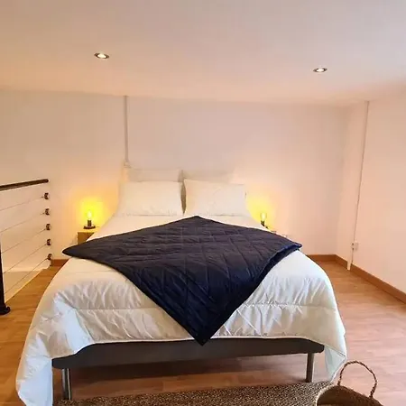 公寓 Magnifique Duplex, Confort, 10min A Pied Gare *