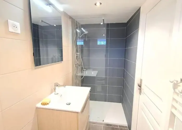 Magnifique Duplex, Confort, 10min A Pied Gare 格勒诺布尔