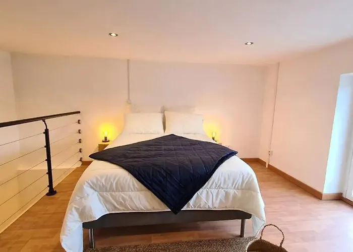 公寓 Magnifique Duplex, Confort, 10min A Pied Gare *