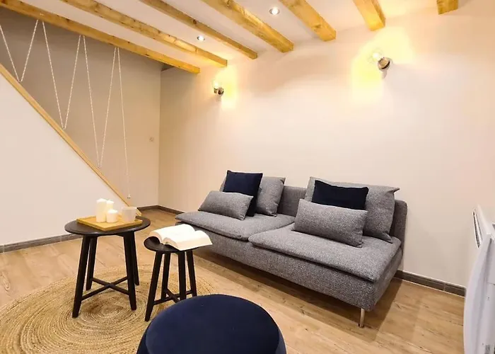 Magnifique Duplex, Confort, 10min A Pied Gare *