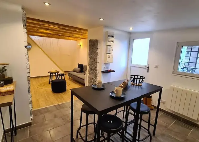 Magnifique Duplex, Confort, 10min A Pied Gare * גרנובל