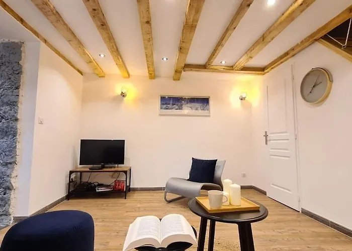 Magnifique Duplex, Confort, 10min A Pied Gare דירה גרנובל