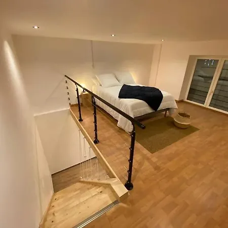 Magnifique Duplex, Confort, 10min A Pied Gare דירה *