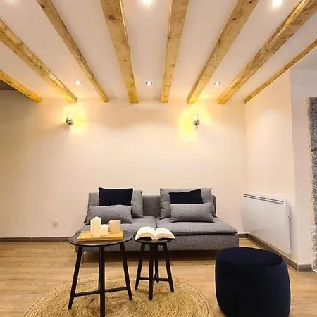 Magnifique Duplex, Confort, 10min A Pied Gare דירה *