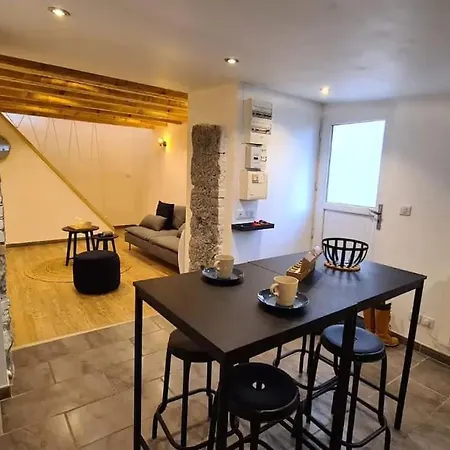 Magnifique Duplex, Confort, 10min A Pied Gare * גרנובל