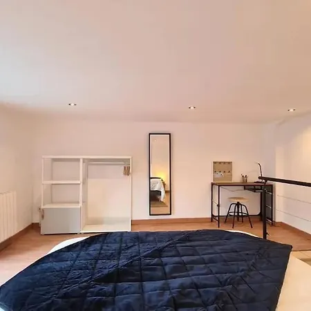 Magnifique Duplex, Confort, 10min A Pied Gare * גרנובל